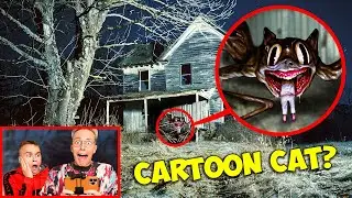 Meine Drohne hat die CARTOON CAT gefilmt!! (WIR FANDEN IHN!)