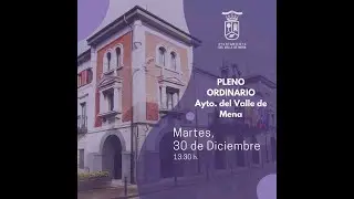Pleno 30 de diciembre de 2025