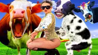 FUNNY COW DANCE 58 | COW SONG & COW VIDEOS 2022 | COW DANCE| COW SOUND |GAY VIDEO|BABY COW|COW FUNNY