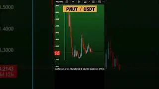PNUT coin price prediction and rally 0.40 USD? Aug 20, 2025 #PNUTCoin