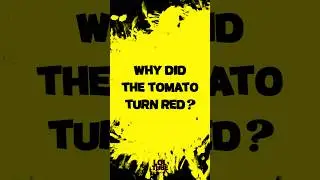 Hilarious Tomato Joke - Can You Solve This Riddle? #loltube