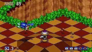 Sonic
