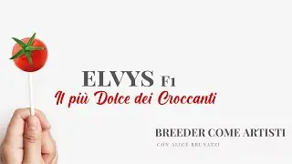 Breeders come artisti - Alice Brunazzi || Elvys F1