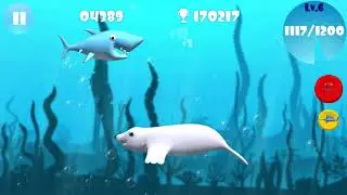 Big Shark - Seal