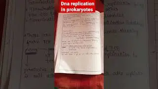 DNA replication mechanism in prokaryotes