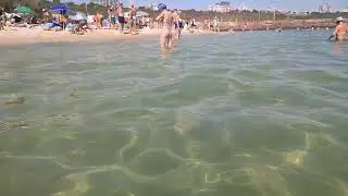 Одесса.Пляж собачка 10.08.2025,3 недели до конца лета