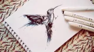 how to draw a hummingbird with markers