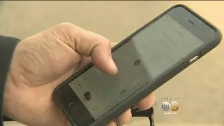 Taxi Ridership Is Down And Some Are Blaming Ride-Share Apps