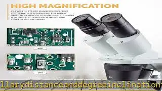 AmScope SE306R-PZ-LED Forward-Mounted Binocular Stereo Microscope, WF10x and WF20x Eyepieces, 20X/4