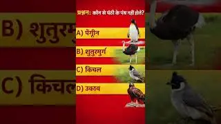 Bird amazing facts 💡#gkquiz #gk #shorts