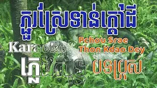 ភ្ជួរស្រែទាន់ក្តៅដី Pchou Srae Thon Kdao Dey Pops Karaoke ភ្លេងសុទ្ធ🎤បទប្រុស