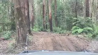 Bunyip trip Part 2a blue range track