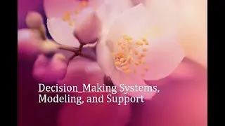 Desicion-Making Systems, Modelling and Support