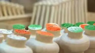 Inside Old Hickory Bat Company
