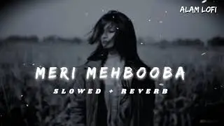 Phoolo ki maalika hai (slowed and reverb) hindi song ❣️