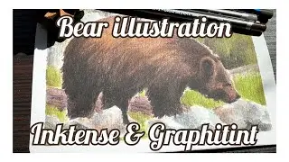 Bear illustration 🐻🌸 Inktense & Graphitint pencils 💕