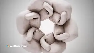 Weltew Home Ey&uuml;p Modesa traverta Coşkun Mudak 