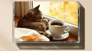 [Cassette loop] Weekend playlist Vol.27 [1h loop BGM]