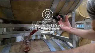 Unsworth Vineyards - Cellar work and Irrigation in the Vineyard SUMMER