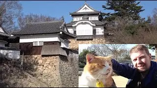 Bitchū Matsuyama - Castle in the Sky (備中松山城)- piękny japoński zamek, którego władcą jest KOT Sanjuro