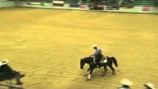 Skeets In Hollywood Futurity Open Finale