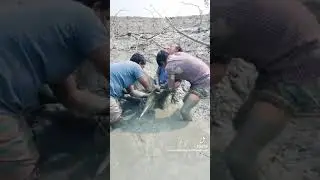 what a surprise....! #viral #shortvideo #dilar #shortsviral #bangladesh