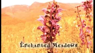 Royalty Free Loop Music #3 (Enchanted Meadows) 80bpm Celtic/Drama/Suspense/Orchestra