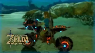 BotW: How to Spin the Master Cycle Zero Fast!