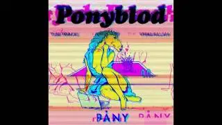 Ponyblod(P&aring;ny) - Sprogjob