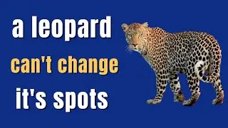 Idiom Meanings: A Leopard Can't Change Its Spots