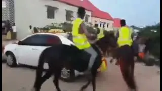 Ceelbuur Aroos Cajiib ah.