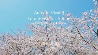 Vivaldi Spring Violin Concerto | Let Music Paint the Perfect Spring Day 🌸