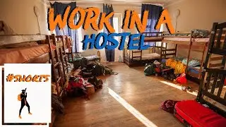 Work in A Hostel To Start Your Long Term Travel Life #shorts
