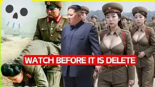 Top 20 Airplane Secrets Flight Attendants Keep Hidden (2024)