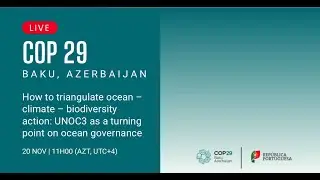 How to triangulate ocean &ndash;climate &ndash;biodiversity action: UNOC3 as a turning point on ocean governance