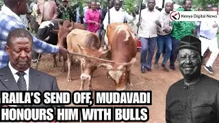 Raila's Send Off, Mudavadi Dispatches Luhya Elders to Donate Bulls in Line with Luhya Culture!!