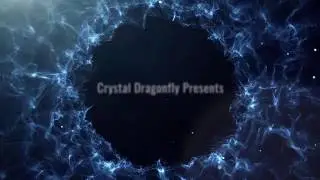 Crystal Dragonfly Sanctum