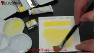 Winsor & Newton Artists' Water Colour paint Cadmium Lemon 086 Series 4