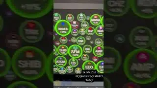 crypto update today 24 Feb 2022 | daily crypto update #shorts #desibitcoins #marketupdates