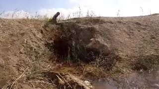 بالصوت والصوره . واهم ارض بالفرافره النهارده  . وارخص ارض بالكفاح حاليا