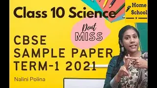 CBSE Sample Paper Term 1 2021 | [Sample Question Paper + Marking Scheme] Board 2021 RELEASED!!