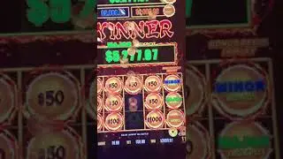 Dude lands Mini Major and Minor simultaneously. Wins over $15k