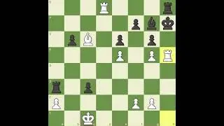 It&rsquo;s not a bug. It&rsquo;s a forced mate!