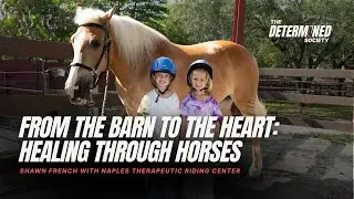 Do Horses Sense Our Emotions?