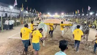 Rk bulls Vetapalem combined vedullapalli srinivasa rao guntur jilla | Tenali race | Team | brand