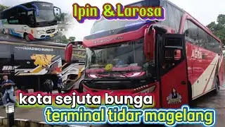 Kota sejuta bunga ipin dan larosa🔥terminal tidar magelang