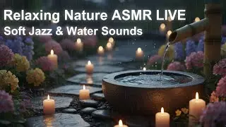 Relaxing Nature ASMR Live 🌿 Soft Jazz & Water Sounds for Stress Relief