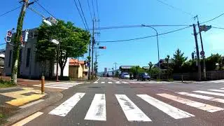 マキノ高原 メタセコイア並木 Metasequoia Namiki Driving in rural Japan Lofi chill music