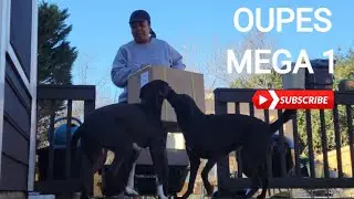 Oupes Mega 1 | Unboxing Our 1st Solar Generator