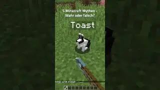 Wahr oder Falsch? Wir stellen 5 #Minecraft Mythen vor! - #Nitrado #Shorts #Minecraftmyths